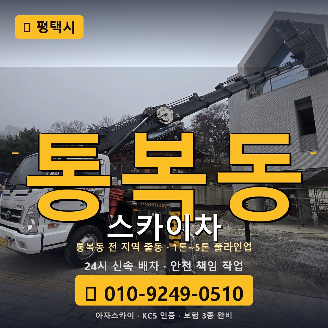 평택 통복동 스카이차 - 아자스카이
