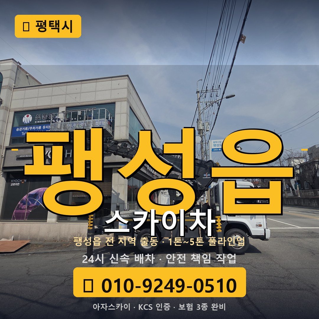 평택 팽성읍 스카이차 - 아자스카이