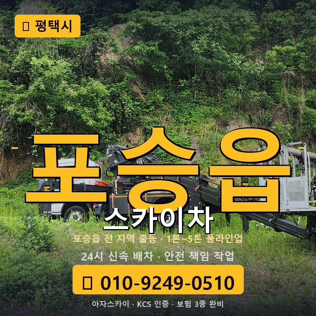 평택 포승읍 스카이차 - 아자스카이